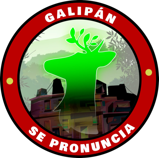 Lámina que explica cómo se construye el símbolo de Galipán a partir de la forma de cuernos de hojas.